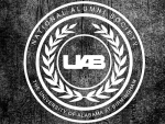 Nominate a UAB grad for National Alumni Society Junior Alumni Board