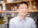 New pathway to differentiation found, shedding light on some cancers
