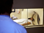 MRI can help detect prostate cancer, reduce unnecessary biopsies
