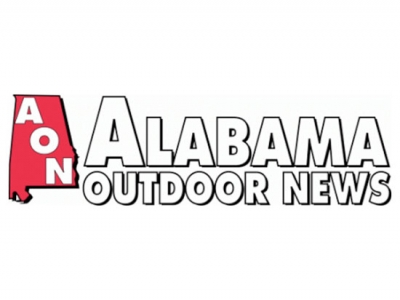 UAB study looks at tree stand accidents