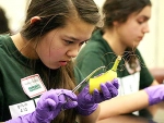 UAB professors, scientists and students encourage young girls to excel in math and science