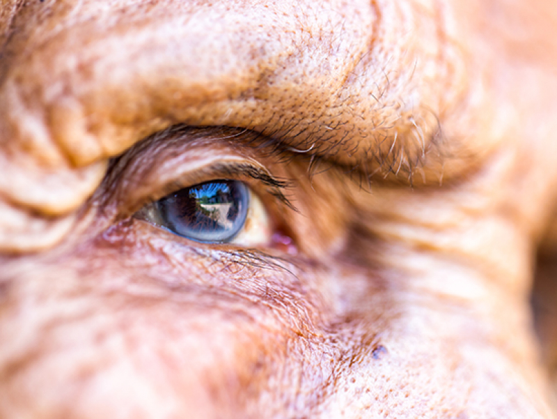 Did you know that you can have cataracts as young as 40 years of age but not actually experience vision problems until much later? 