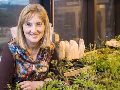 She brought ‘green’ science to UAB: Karolina Mukhtar and plant immunology
