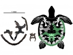 New species of ancient sea turtle unearthed in Alabama