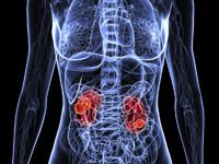 At-home self-test helps identify risk of kidney disease