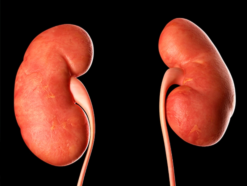Chronic kidney disease is focus of World Kidney Day on March 14