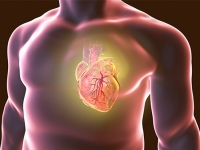How the enzyme lipoxygenase drives heart failure after heart attacks