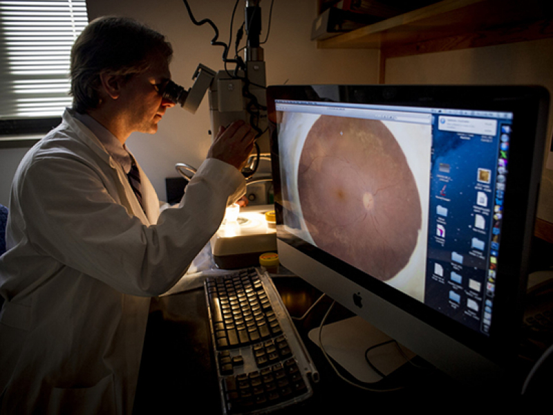 Research to Prevent Blindness continues its support of ophthalmology research at UAB