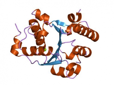 Tugs and pulls: How a molecular motor untangles protein