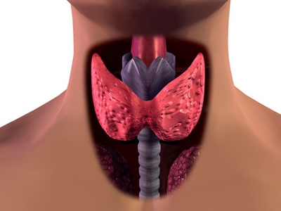 UAB-led blue-ribbon committee creates ultrasound scoring system for thyroid nodules to reduce unnecessary biopsies