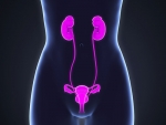 Paradigm-changing clinical trial underway to better identify ureter during pelvic surgery