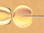 IVF education session to be held April 22