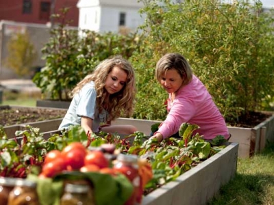 UAB study hopes vegetable gardens can help cancer survivors