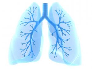 New imaging method facilitates research into cystic fibrosis and other pulmonary diseases
