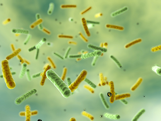Persistence of gut microbial strains in twins, living apart after cohabitating for decades
