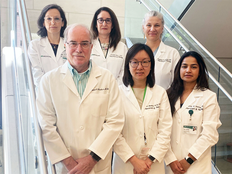 UAB Department of Pathology establishes Division of Women’s Health