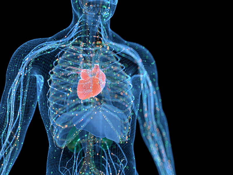 UAB Cardiogenomics Clinic transforms cardiac care through genomic medicine