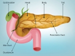 UAB creates integrated program to manage diseases of the pancreas, bile ducts