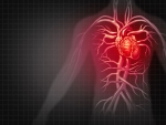 Immune cell target identified that may prevent or delay heart failure after pressure overload