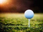 Tee up for the UAB School of Optometry