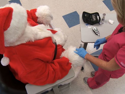 UAB GRADE study for diabetes: Saving Santa and you