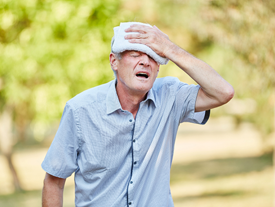 How to protect the elderly in the heat - News | UAB