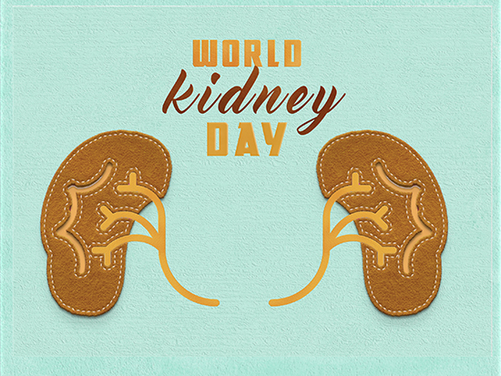 World Kidney Day highlights risks of kidney disease