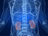 Key protein interaction linked to cast nephropathy