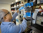 $500,000 Innovation Fund launched for early-stage discoveries at UAB