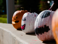 Halloween festivities are back: Here is what you need to know to keep your children safe