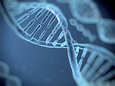 UAB School of Medicine, HudsonAlpha create joint Center for Genomic Medicine