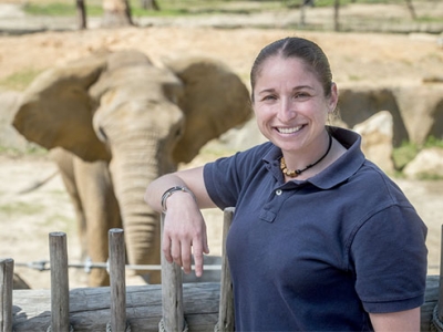 Are zoo elephants too fat, too skinny or just right?