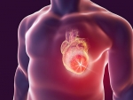 Linking heart attack damage with spleen, kidney, an integrated approach to heart failure
