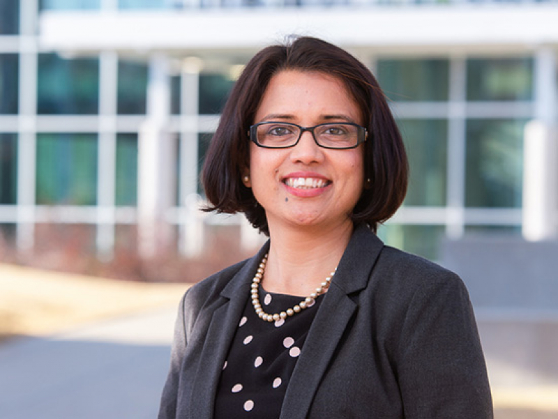 Raut recognized with award for outstanding contributions to service-learning through research