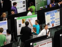 2012 Expo spotlights undergraduate research 