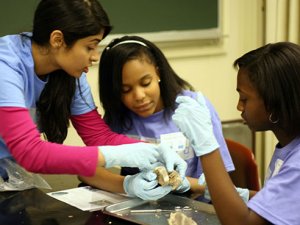 Girls in Science and Engineering Day inspires young women to excel in math, science