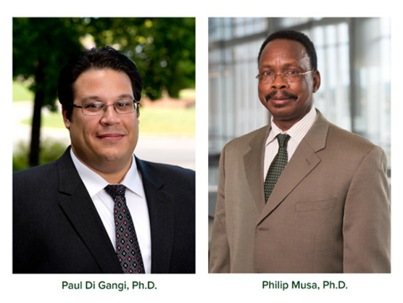 Association for Information Systems honors UAB professors