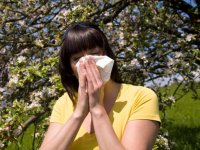 OTC meds, neti pots can relieve most seasonal allergies