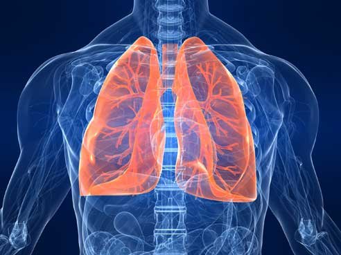UAB researchers look for answers in acute lung injury