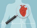 A kinase identified as possible target to treat heart failure