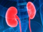 Grant extends, expands kidney failure research