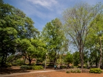 UAB recognized for preserving tree growth, prioritizing green spaces on campus