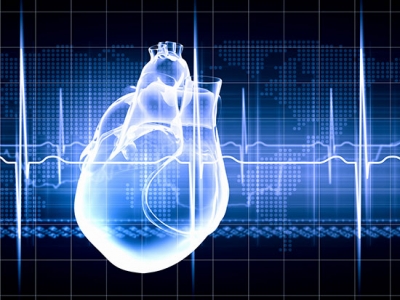 Cardiovascular Disease receives T32 grant for translational research in heart failure