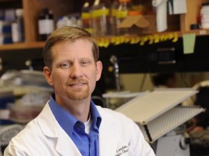 Targeting platelet production could be strategy in ovarian cancer therapy