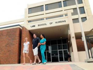 Three top nursing schools team to engage alumni in Tampa and Naples