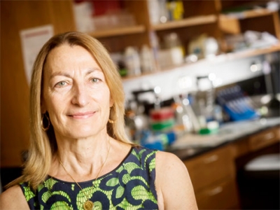 UAB researcher has key role in massive non-Hodgkin lymphoma study