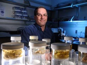 NSF selects UAB biologist for prestigious Tree of Life team
