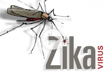 Zika, pregnancy and microcephaly: What you need to know