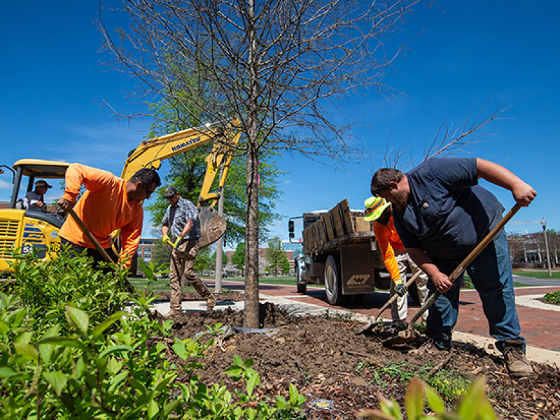 New growth: UAB’s Tree Campus honors expand to medical center