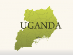 Analysis of Ugandan cervical carcinomas, an aid for understudied sub-Saharan women